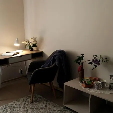 Center Basement Studio - Close To Everything شقة